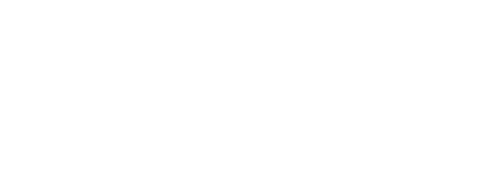 WildTV Logo